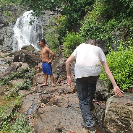 Bee Bee'S Chalets Home Stay And Trekking รัตนคีรี ภายนอก รูปภาพ