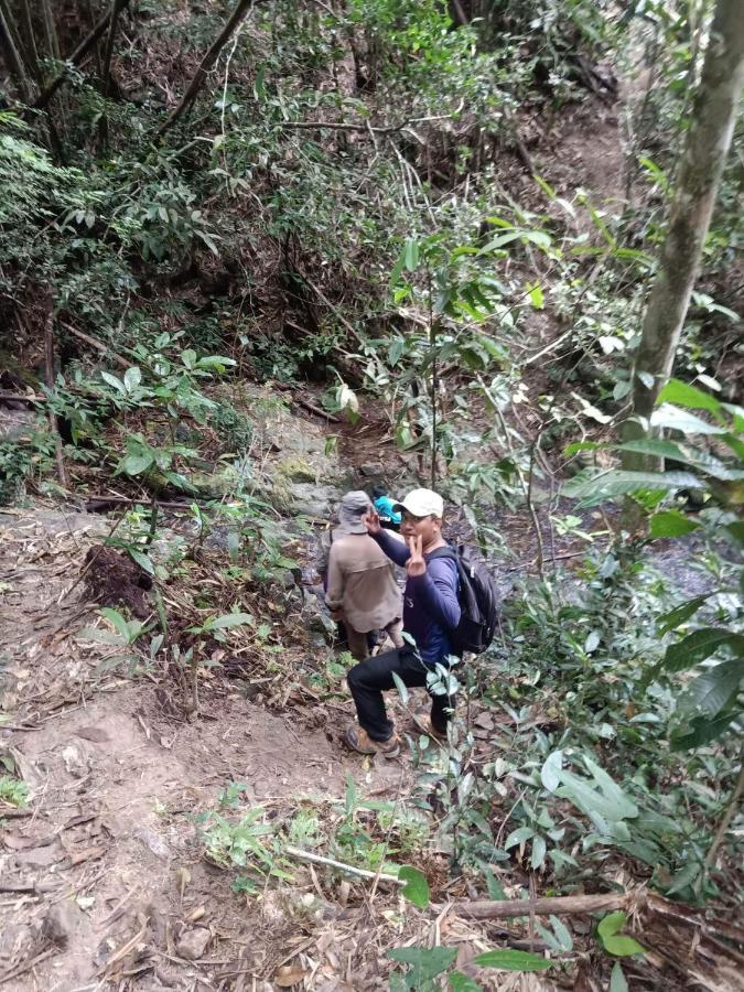 Bee Bee'S Chalets Home Stay And Trekking รัตนคีรี ภายนอก รูปภาพ