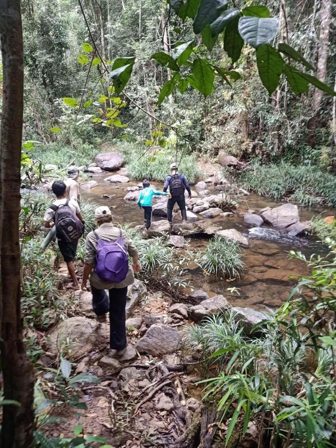 Bee Bee'S Chalets Home Stay And Trekking รัตนคีรี ภายนอก รูปภาพ