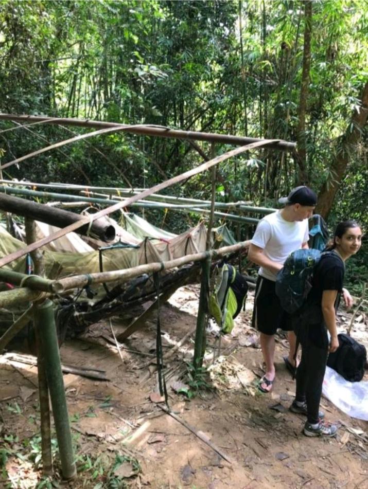 Bee Bee'S Chalets Home Stay And Trekking รัตนคีรี ภายนอก รูปภาพ